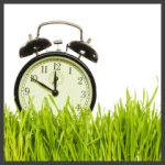 Store Hours